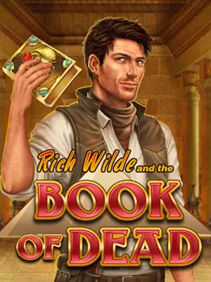 Book of Dead by Play'n GO, game cover